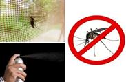 Cách diệt muỗi đuổi muỗi và chống muỗi trong nhà hiệu quả