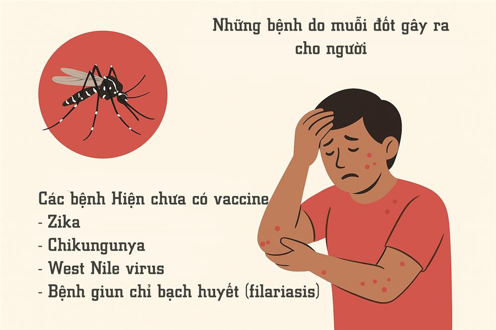 Những bệnh truyền nhiễm do muỗi gây ra do mang virus, ký sinh trùng và vi khuẩn